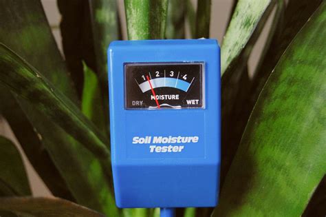 custom snake plant moisture meter level|moisture meter for snake plants.